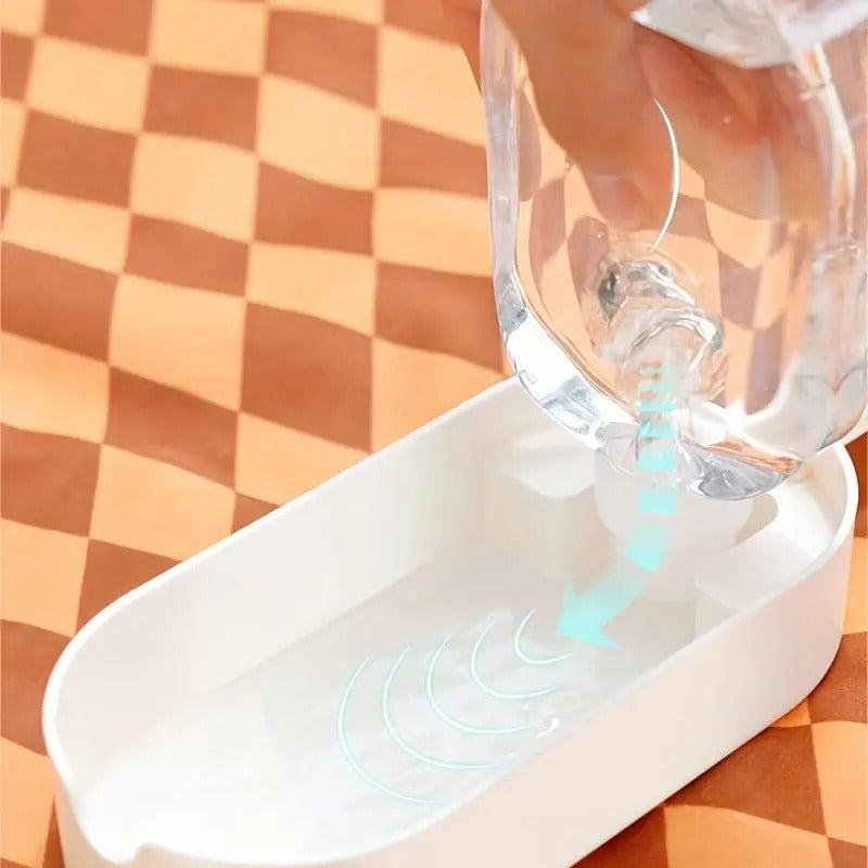 Bouteille d'eau portable pour chien