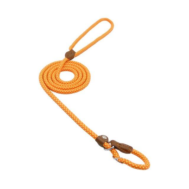 Ensemble collier et laisse en nylon pour chien