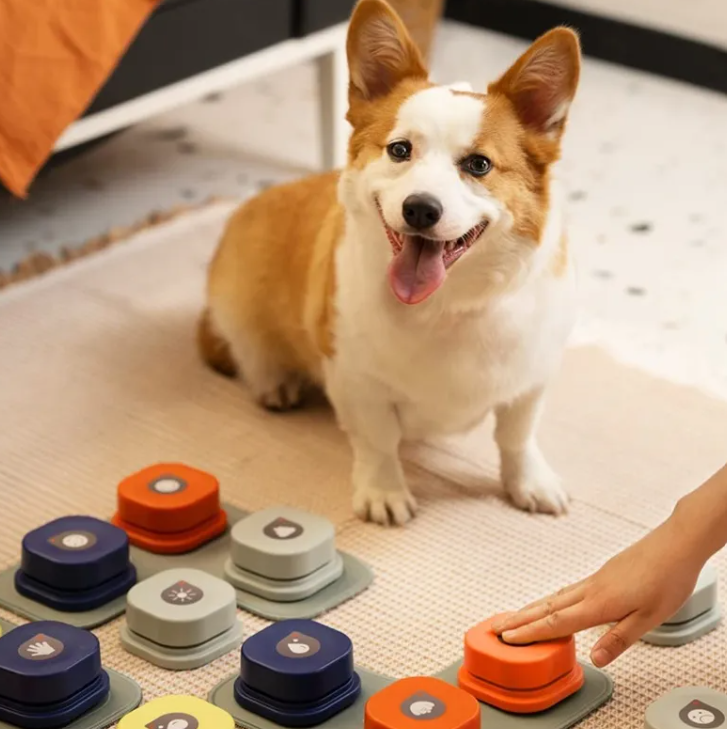 Bouton de communication enregistrable pour chien et chat