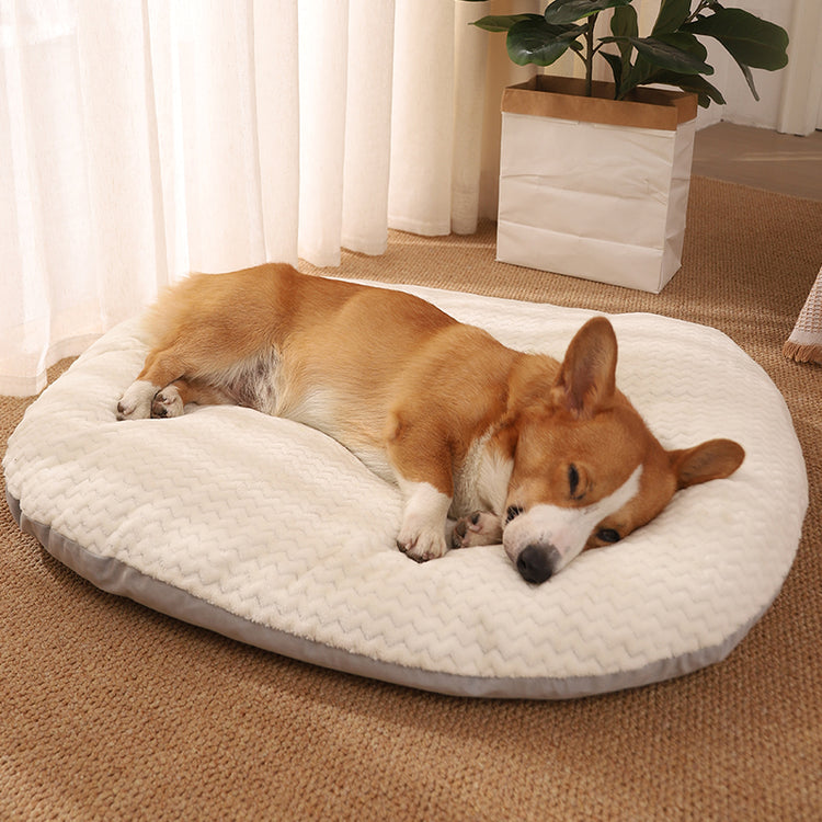 Tapis de couchage pour chien - Coussin de sol confortable