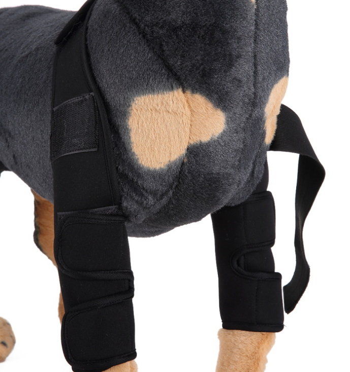 Attelle de genou et protection de patte pour chien pour la récupération après une blessure