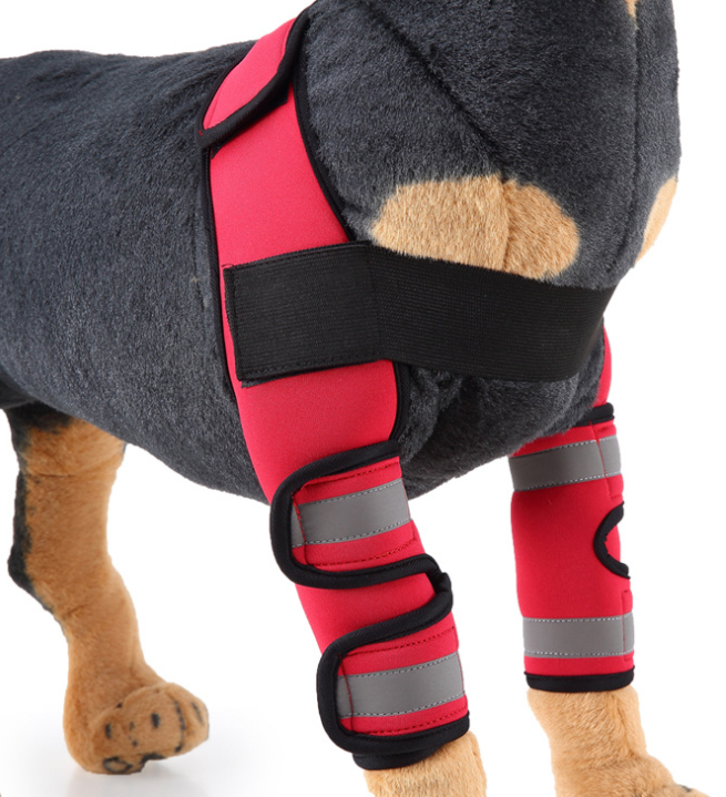 Attelle de genou et protection de patte pour chien pour la récupération après une blessure
