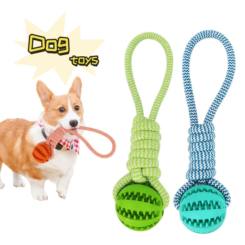 Balles en caoutchouc interactives pour chien avec friandises et corde