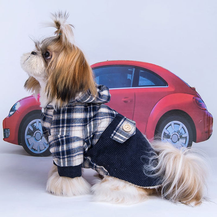 Manteau en cachemire Teddy VIP pour petit chien spitz nain