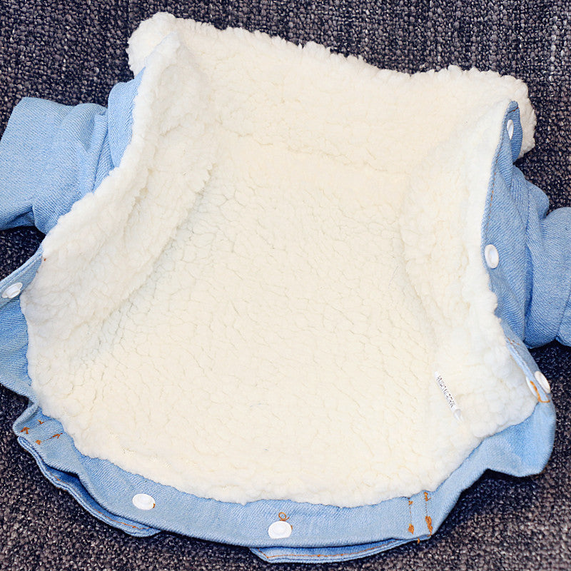 Veste matelassée chaude en denim pour chien
