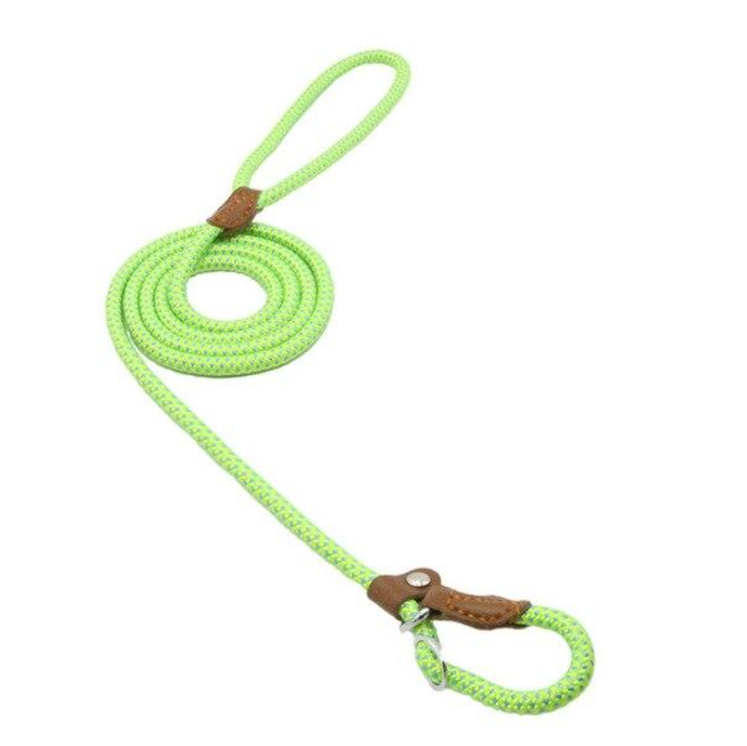 Ensemble collier et laisse en nylon pour chien