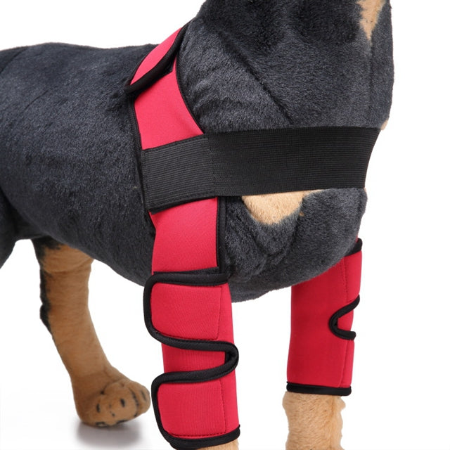 Attelle de genou et protection de patte pour chien pour la récupération après une blessure