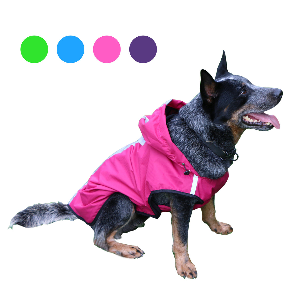 Two-Foot Hooded Waterproof Dog Raincoat