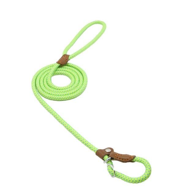 Ensemble collier et laisse en nylon pour chien