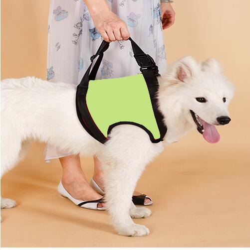 Ceinture de soutien des pattes arrière pour chien âgé