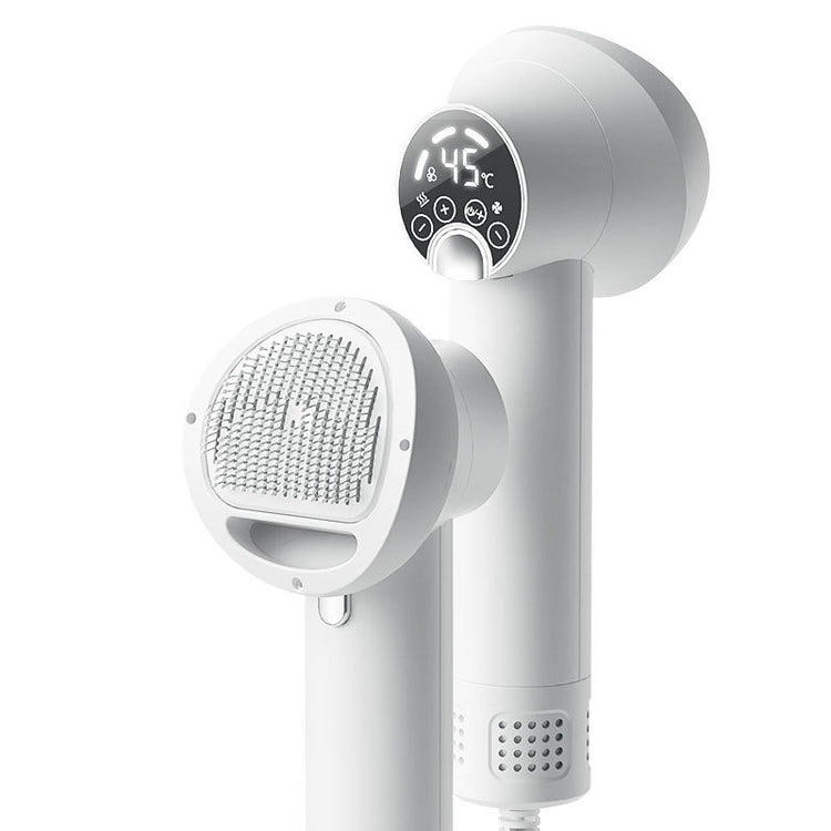 Brosse de séchage ionique silencieuse pour animaux de compagnie