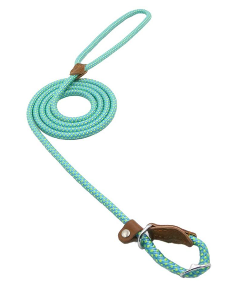 Ensemble collier et laisse en nylon pour chien