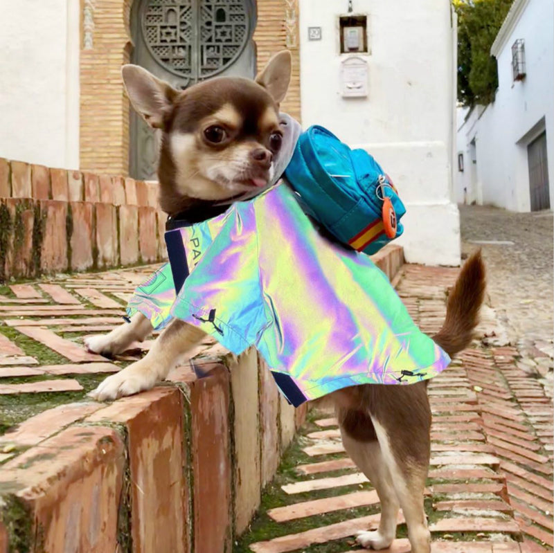 Imperméable réfléchissant pour chien – Corgi, Schnauzer, Bouledogue français