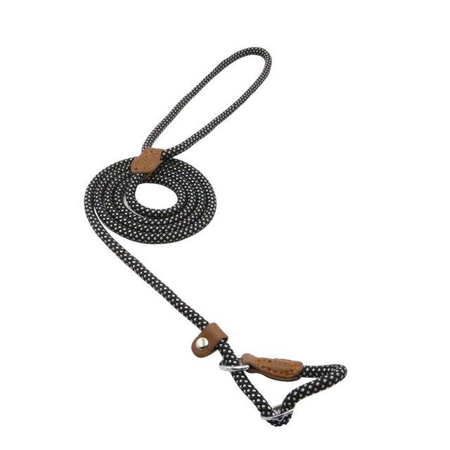 Ensemble collier et laisse en nylon pour chien