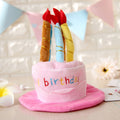 Chapeau gâteau d’anniversaire pour chat – déguisement mignon