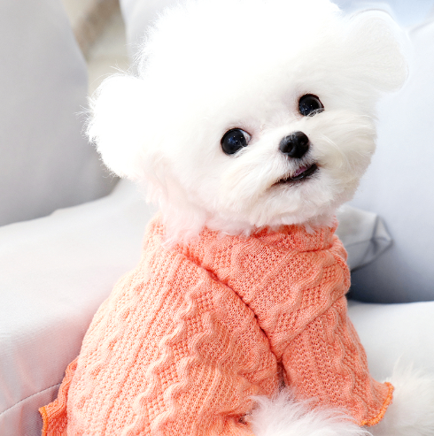 Fleece Winter Sweater for Dogs
