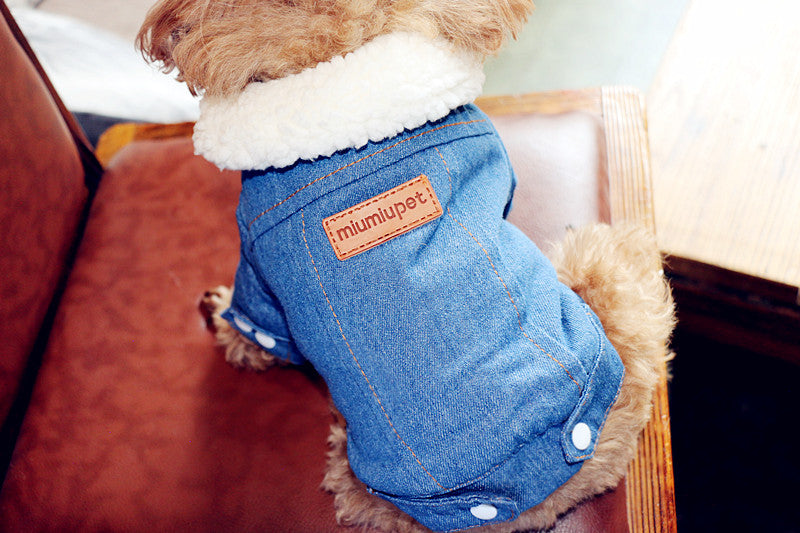 Veste matelassée chaude en denim pour chien