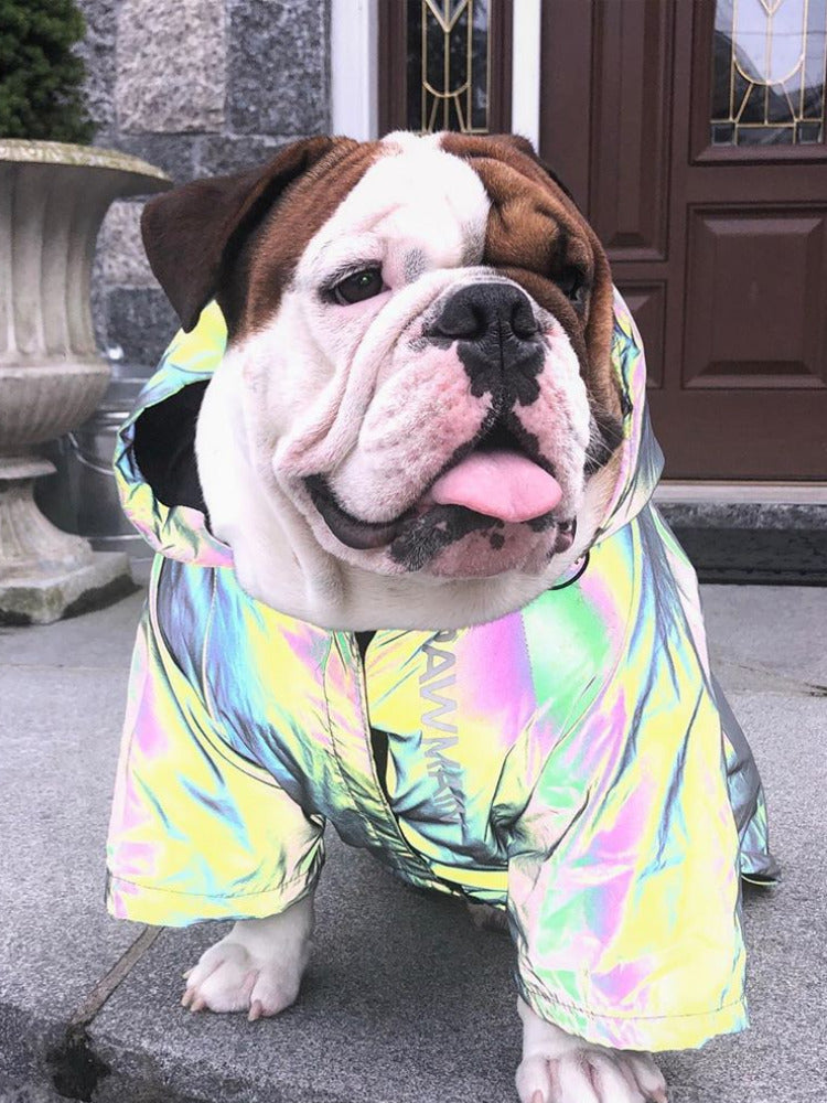 Imperméable réfléchissant pour chien – Corgi, Schnauzer, Bouledogue français