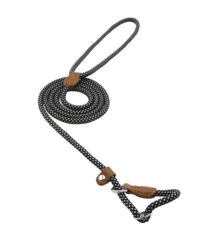 Ensemble collier et laisse en nylon pour chien