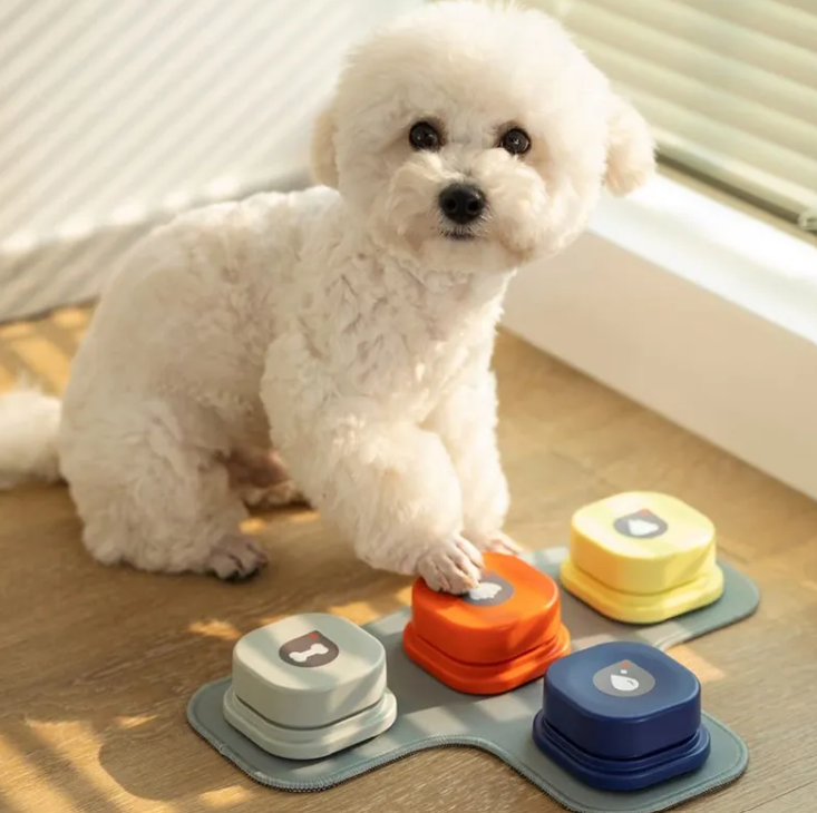 Bouton de communication enregistrable pour chien et chat