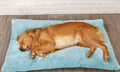 Lit douillet en peluche pour chien avec base matelassée - 4 tailles
