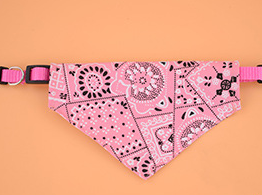 Col foulard triangulaire rétractable pour animaux de compagnie
