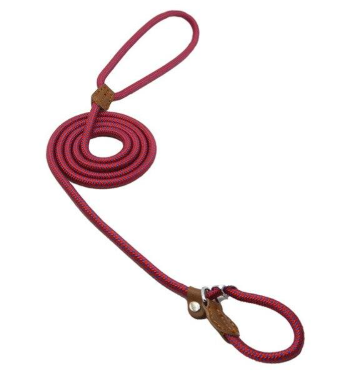 Ensemble collier et laisse en nylon pour chien