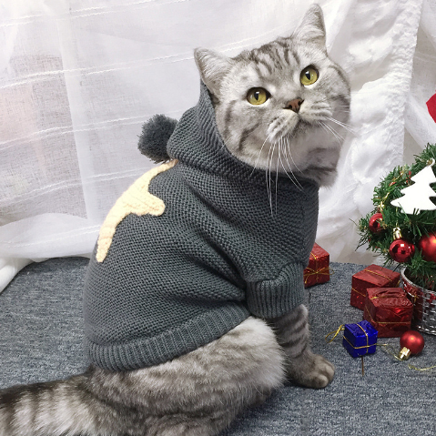 Pull Hiver Automne pour chiens et chats avec étoiles