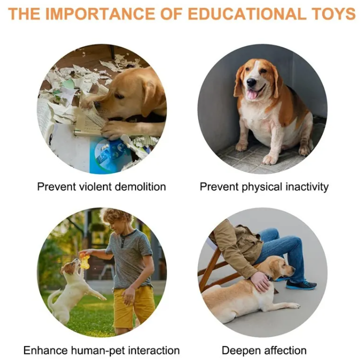 Bouton de communication enregistrable pour chien et chat