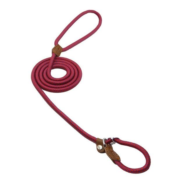 Ensemble collier et laisse en nylon pour chien