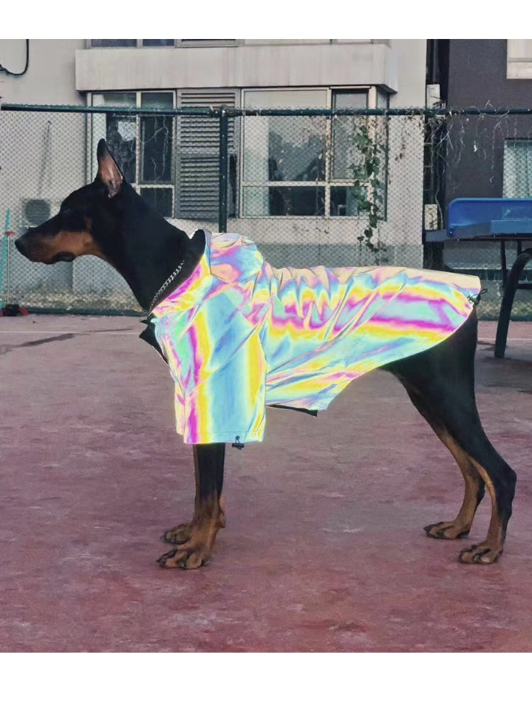 Imperméable réfléchissant pour chiens, corgis, bouledogues français et schnousers