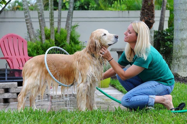 Dog Shower Ring with 360° Spray