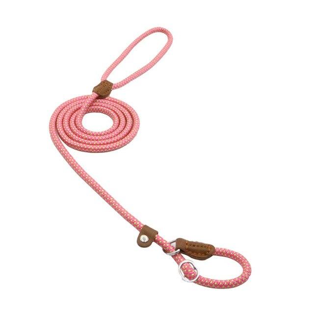 Ensemble collier et laisse en nylon pour chien