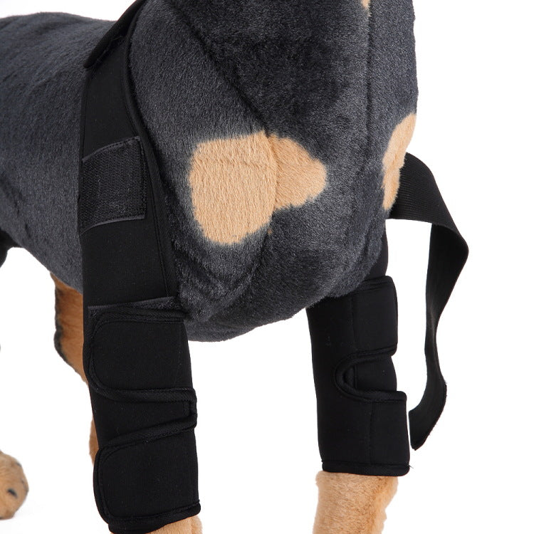 Attelle de genou et protection de patte pour chien pour la récupération après une blessure