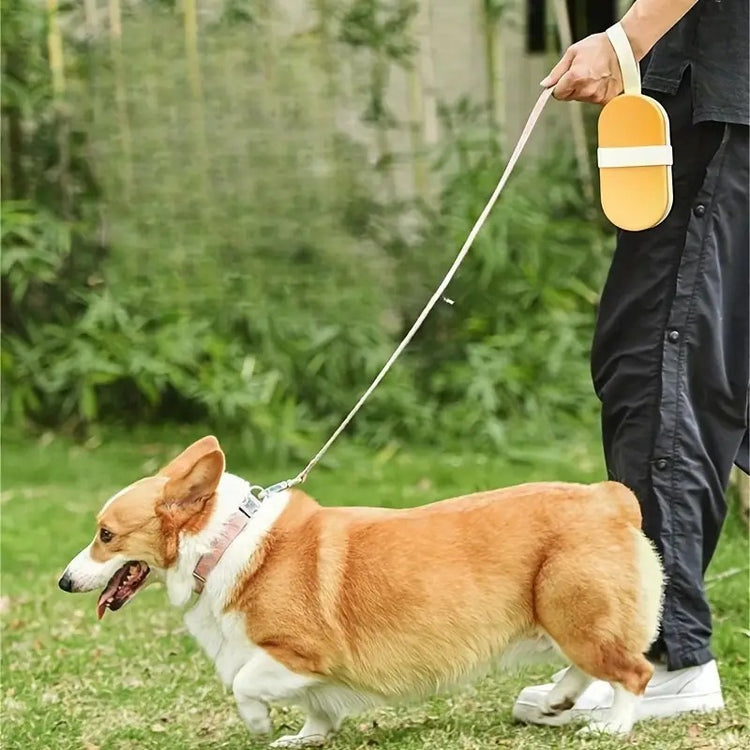 Bouteille d'eau portable pour chien