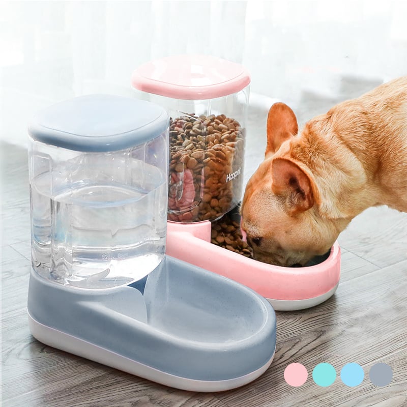 Distributeur d’eau pour chiens et chats