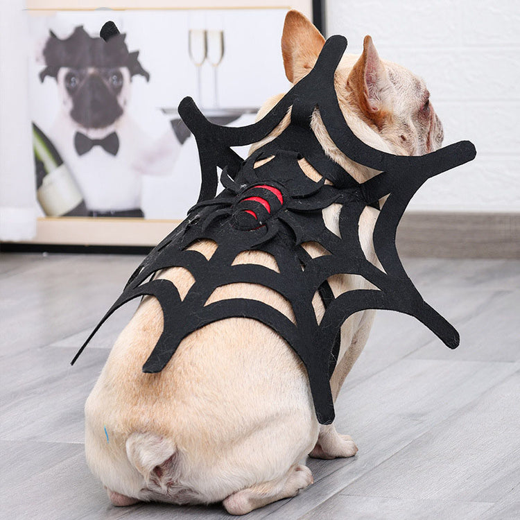 Ensemble de décorations en toile d'araignée pour chat et chien pour Halloween
