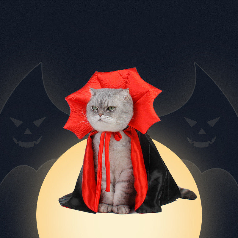 Cape d’Halloween Roi Vampire pour animaux
