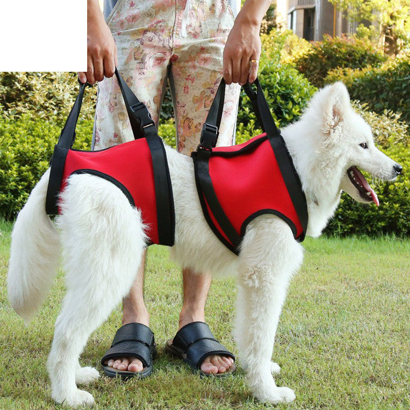 Ceinture de soutien des pattes arrière pour chien âgé