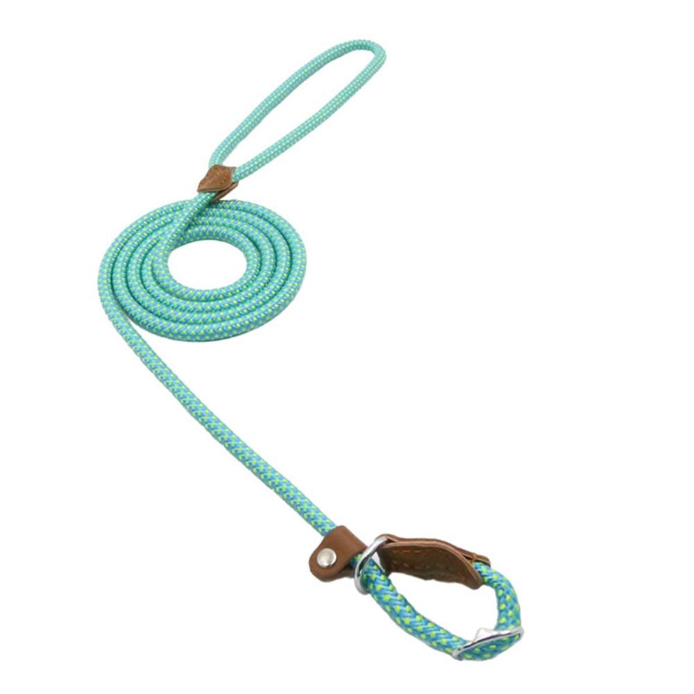 Ensemble collier et laisse en nylon pour chien