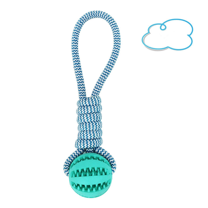 Balles en caoutchouc interactives pour chien avec friandises et corde