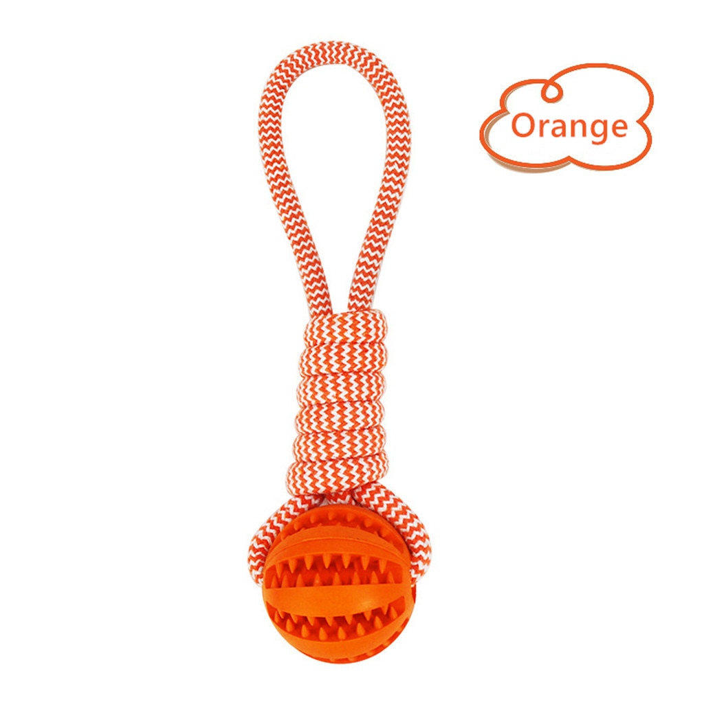 Balles en caoutchouc interactives pour chien avec friandises et corde