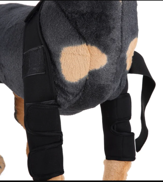 Attelle de genou et protection de patte pour chien pour la récupération après une blessure
