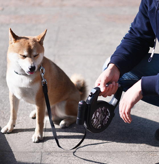 Detachable High-Intensity Flashlight with 8m Leash