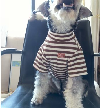 Vêtements d'été légers pour petits chiens