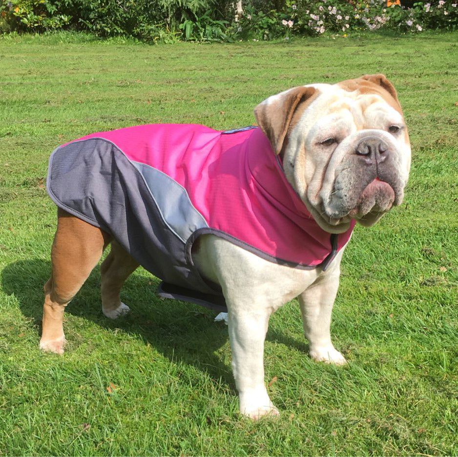 Imperméable et veste isolée pour animaux de compagnie d'extérieur