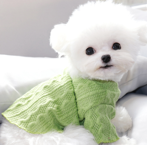 Pull d'hiver en polaire pour chiens