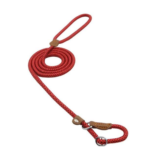 Ensemble collier et laisse en nylon pour chien