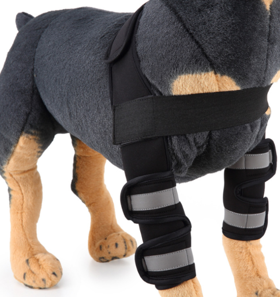 Attelle de genou et protection de patte pour chien pour la récupération après une blessure