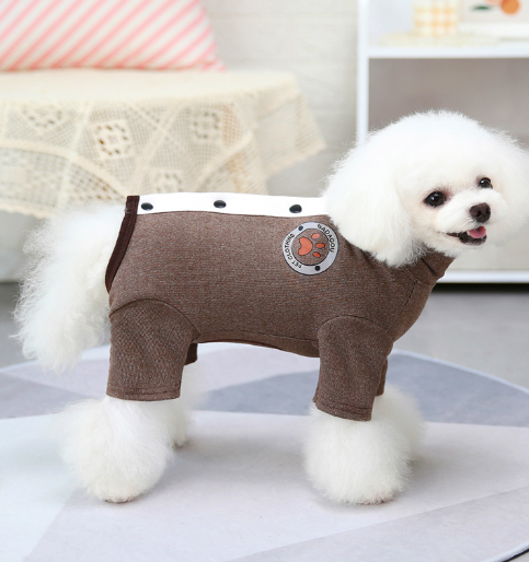 Combinaison d’hiver Teddy pour petit chien